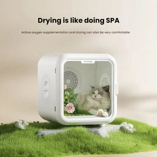 Pet drying box, cat automatic hair dryer, household shower and drying tool, hair dryer, water dryer, dog 